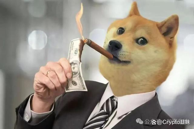 狗狗币冲破146美元大关，牛市是否已来临？-爱游戏官网
