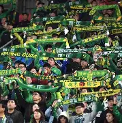 爱游戏-国安vs浙江